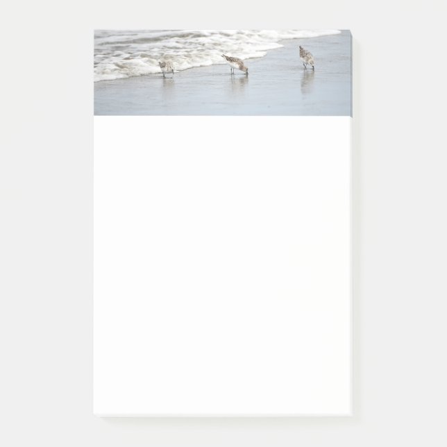 Oiseaux de plage dans les notes Post-it de surf (Devant)