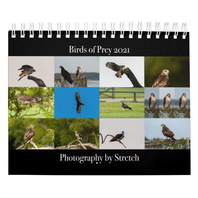 Oiseaux de proie - Petit calendrier de deux pages (Protection)