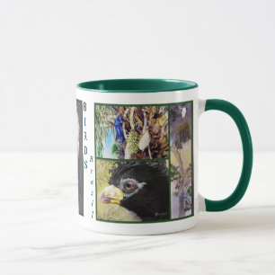OISEAUX de tasse de beaux-arts du BRÉSIL