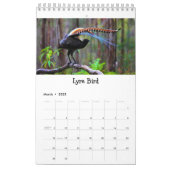 Oiseaux des cadeaux annuels d'oiseau du calendrier (Mar 2025)