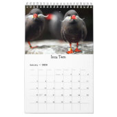 Oiseaux des cadeaux annuels d'oiseau du calendrier (Jan 2025)