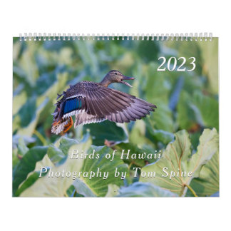 Oiseaux d'Hawaï - Calendrier 2023