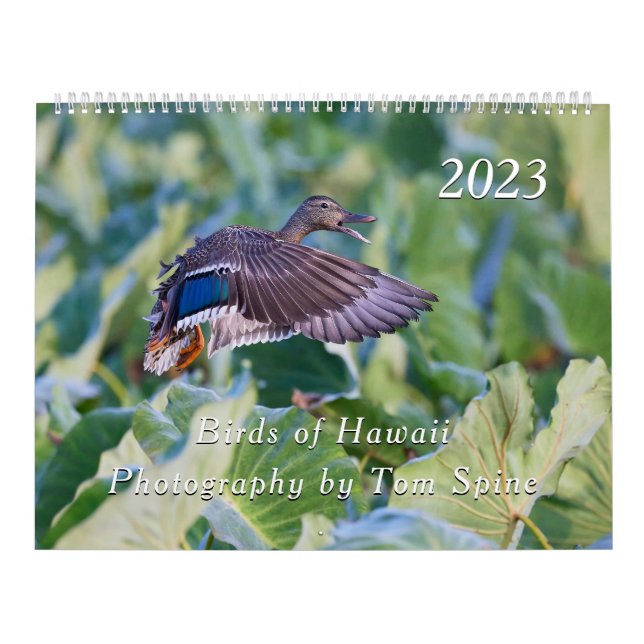 Oiseaux d'Hawaï - Calendrier 2023 (Protection)