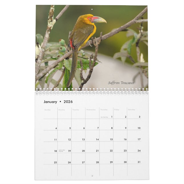 Oiseaux du calendrier atlantique de la forêt du (Jan 2026)