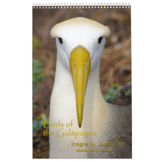 Oiseaux du calendrier de Galapagos