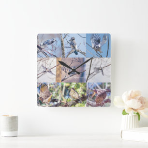 Oiseaux en mouvement horloge