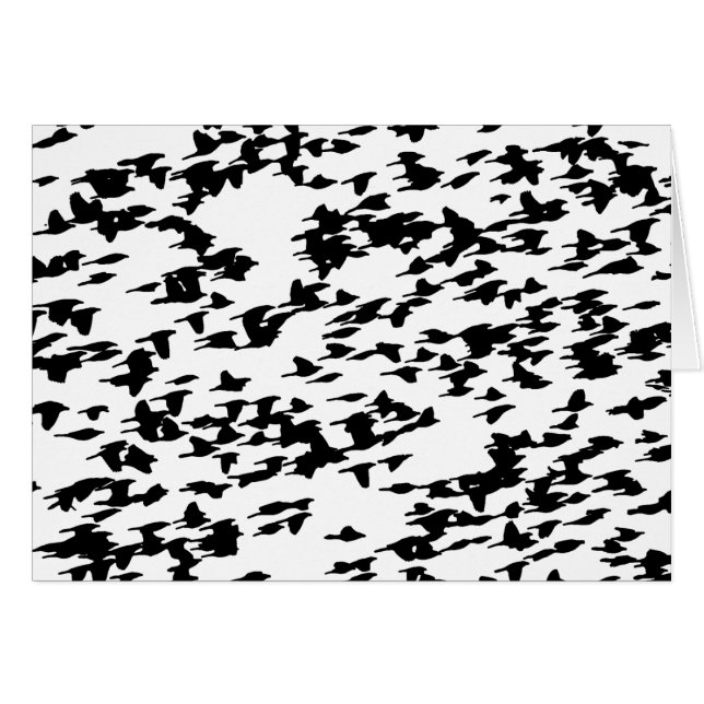 Oiseaux en vol (Devant horizontal)