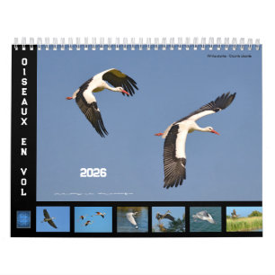 Oiseaux en vol 12 mois calendrier
