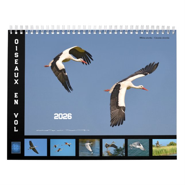 Oiseaux en vol 12 mois calendrier (Protection)