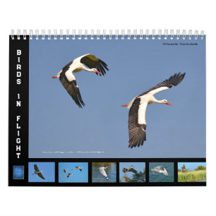Oiseaux en vol 12 mois calendrier