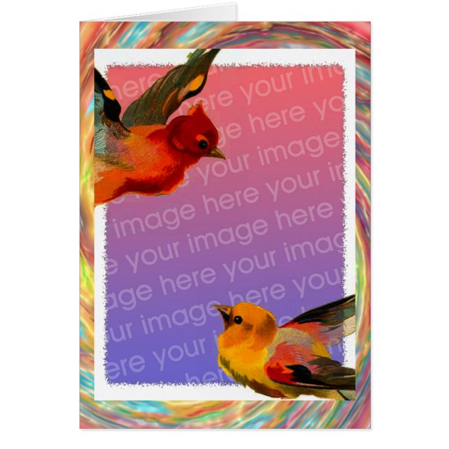 Oiseaux encadrez votre photo Anniversaire (Devant)