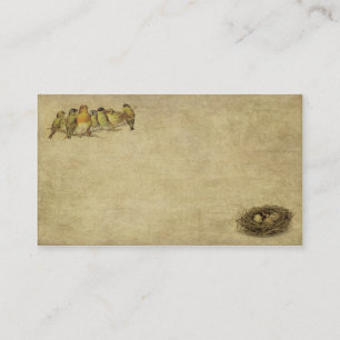 Oiseaux et carte de visite élégants et artistiqu