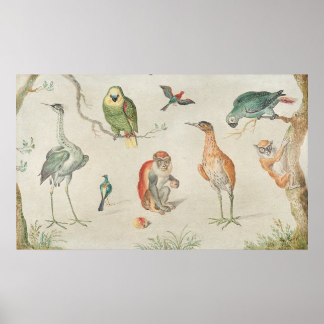 Oiseaux et singes - Jan van Kessel Poster d'art (Devant)