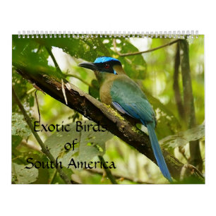 Oiseaux exotiques du calendrier 2014 de l'Amériqu