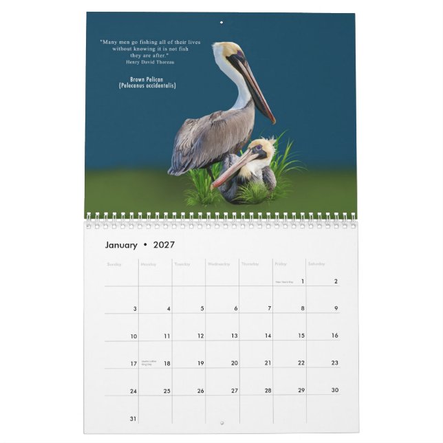 Oiseaux fabuleux calendrier de 12 mois (Jan 2027)