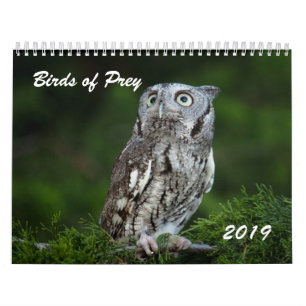 Oiseaux impressionnants du calendrier 2019 de