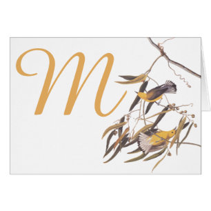 Oiseaux jaunes de fauvette du Prothonotary