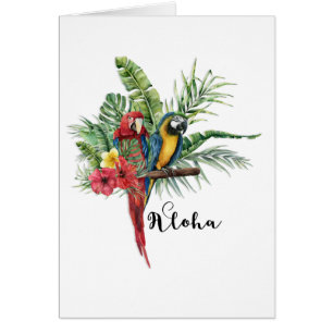 Oiseaux Paradis Insulaire Floral Tropical Botaniqu