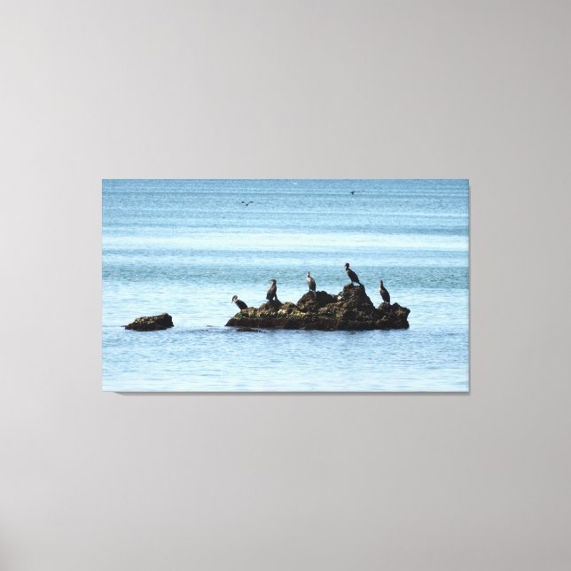 Oiseaux, photo de mer toile étirée Imprimer (Recto)