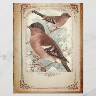 Oiseaux rouges sur un papier à scandale de succurs