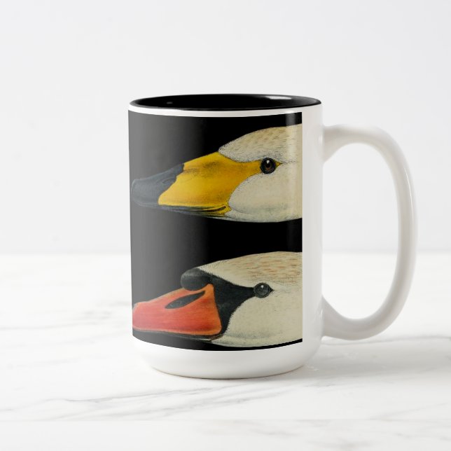 Oiseaux sauvages Nature Swans Café Mug (Droit)