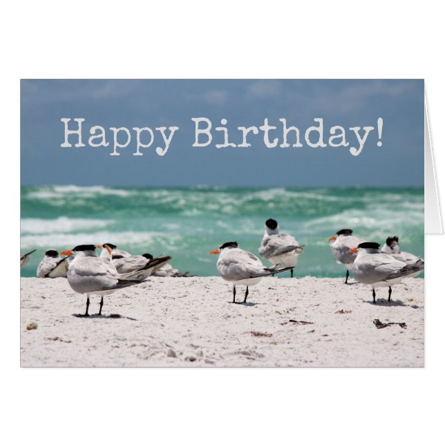 Oiseaux sur la plage Anniversaire (Devant horizontal)