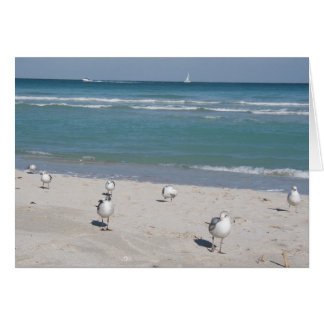 oiseaux sur la plage océanique