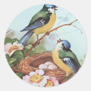 Oiseaux sur un nid - autocollant