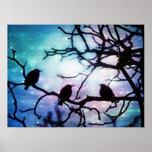 Oiseaux sur une branche - Poster Starlight