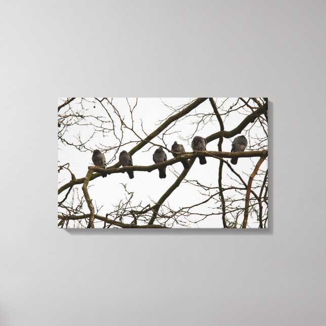 Oiseaux sur une feuille de canevas (Recto)