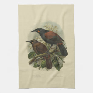 Oiseaux vintages de NZ de la Science - serviette