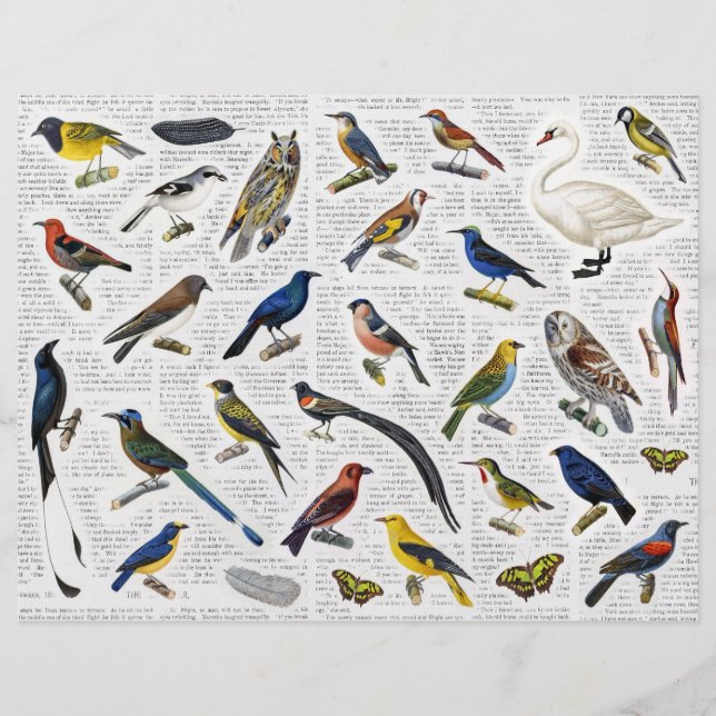 Oiseaux Vintages véritables (sans AI) sur le papie (Devant)