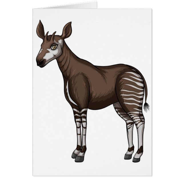Okapi (Devant)