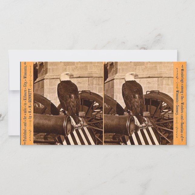 Old Abe, Aigle de guerre du Wisconsin - Stereoview (Devant)