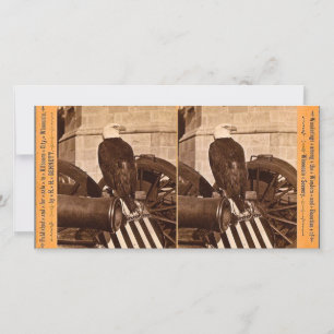 Old Abe, Aigle de guerre du Wisconsin - Stereoview