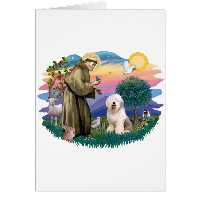 Old English Sheepdog (#6) (Devant)