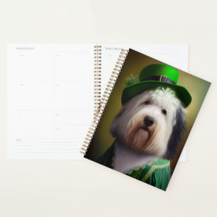 Old English Sheepdog en tenue de la Saint-Patrick
