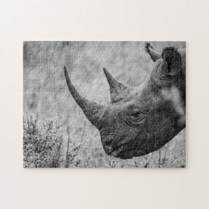 Old Rhinoceros - Puzzle De Photos En HD Noire Et B