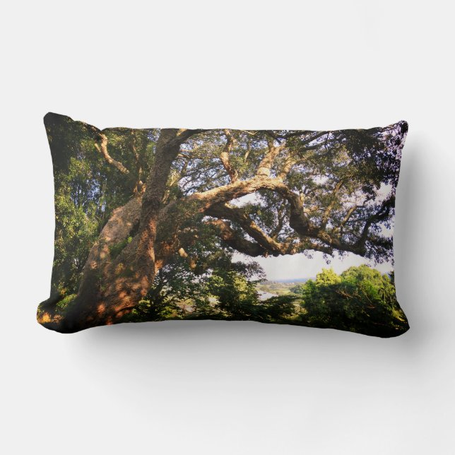 Old Tree Photo Lumbar Coussin (Recto)