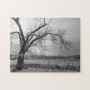 Old Winter Tree Grayscale Puzzle