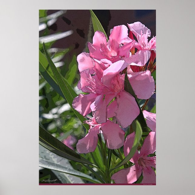 Oleander Art Poster -24x36 -autres tailles disponi (Devant)