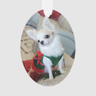 Olive Noël Ornament 2024