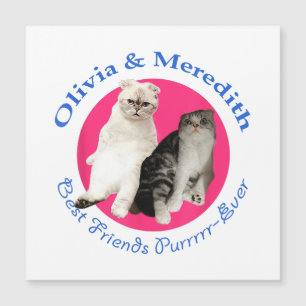 Olivia & Meredith - Meilleurs Amis Purrrr Ever