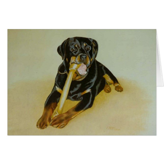 Ollie (Devant horizontal)