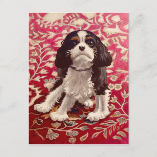 Ollie, carte postale (Devant)