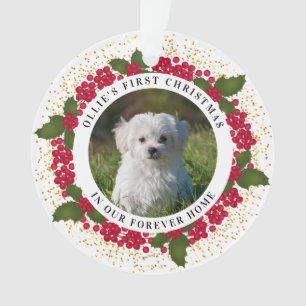 Ollie's First Forever Home Christmas Ornament