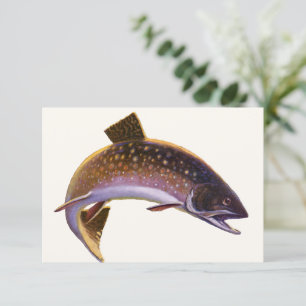 Omble de fontaine, pêche sportive vintage pêcheur