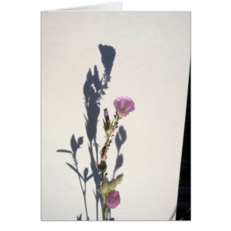 Ombre 2014 de fleur sauvage