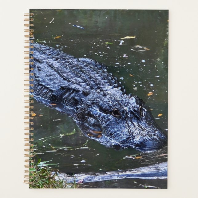 Ombre dans les Hauts-Fonds (Devant)