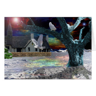 Ombre de clair de lune